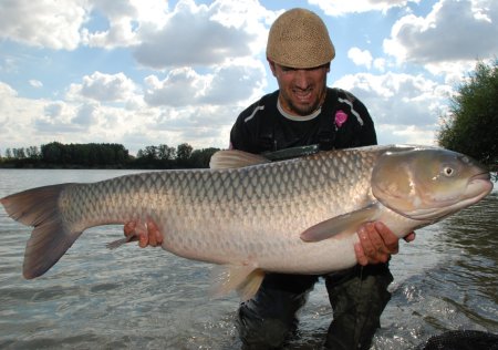 Jak na amura – lokalizace