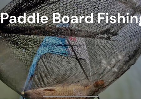 Paddleboard Fishing