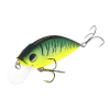 Shad Craft