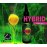 Hybrid Activ Nutric Acid 100ml
