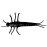 Savage Gear imitace hmyzu 3D PVC Mayfly 50mm 8ks Black