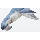 Gaby polštář Žralok kladivoun velký 120 cm