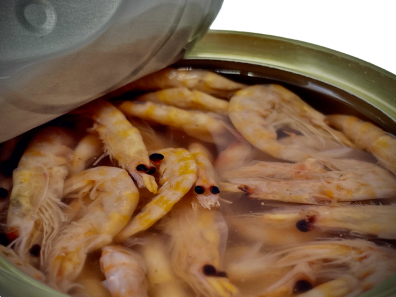 Levně LK Baits Natur Canned Shrimps 100g