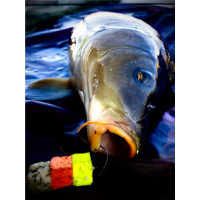 LK Baits CUC! Uzená játra 40g