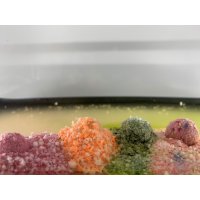 LK Baits Fish Activ Plus Spice Shrimp 18mm, 1kg