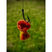 LK Baits CUC! RAISIN Plum 50g