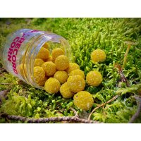 Fish Activ Plus World Record Corn 200ml