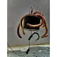 LK Baits POP-UP Pelety Sumec Special 38 mm 160g