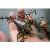 Korda olovo Marker Lead Pronged