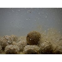 LK Baits Nutrigo Balanc Garlic Liver 200ml, 20 mm