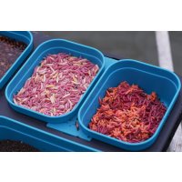 Drennan krabička Modular Bait Box 1 pint