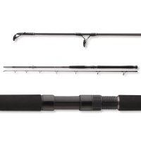 Daiwa prut Exceler CatFish Boje