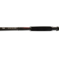 Daiwa prut Exceler CatFish Boje
