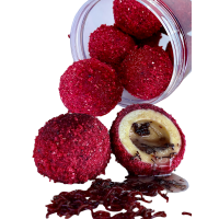 LK Baits Nutrigo Monster Live Blood Woorm 25-30mm, 250ml, 8ks (patentka)