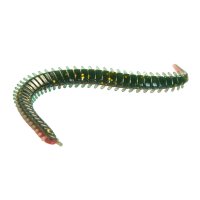 Lucky John Salty Sensation Sandworm 2" F40