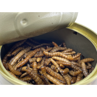 LK Baits Natur Canned Mealworms 35g