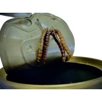 LK Baits Natur Canned Mealworms 35g