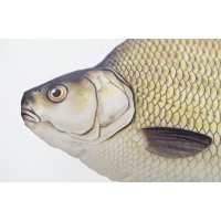 Gaby polštář Cejn Velký 65 cm