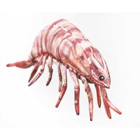 Gaby polštář Kreveta tygří 65 cm