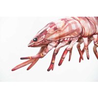 Gaby polštář Kreveta tygří 65 cm