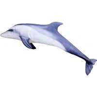 Gaby polštář Delfín skákavý