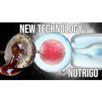LK Baits Pet Nutrigo Dog Supplement Plantago Syrup