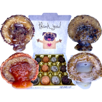 LK Baits Pet NUTRIGO BONBONS Present Small - Bonboniéra
