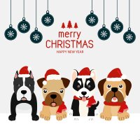 LK Baits Pet NUTRIGO BONBONS Merry Christmas Small