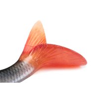 Fox Rage gumová nástraha Ultra Realistic Roach Replicant 14cm