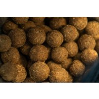 LK Baits Boilies Tester Series_01 Pure Signal Winter Ed. 2500g, 18-20mm