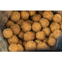 LK Baits Boilies Tester Series_01 Pure Signal 24mm 800g