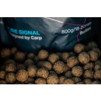 LK Baits Boilies Tester Series_01 Pure Signal 24mm 800g