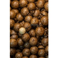 LK Baits Boilies Tester Series_01 Pure Signal 24mm 800g