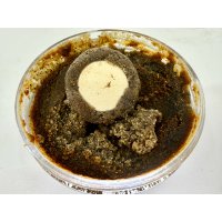 LK Baits Paste Tester Series_01 Pure Signal 200 ml