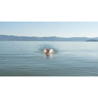 LK Baits krmná raketa Spyder Spod Full Orange