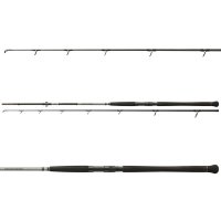 Daiwa prut Powermesh CatFish Boje 3,00m 150-400g
