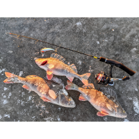 Lucky John prut Ice Fishing X-Tech ZanderX