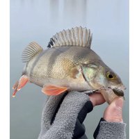 Lucky John gumová nástraha Ultra Worm 1,0" 20ks Osaka Pumpkin