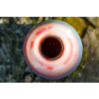 LK Baits Liquid Bloodworm 250ml