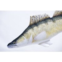 Gaby polštář Candát obecný 75cm
