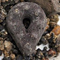 LK Baits Carplead Grip 220g Brown