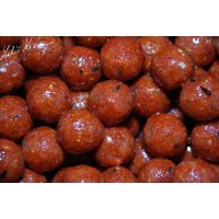 LK Baits Euro Economic Chili Squid 5 kg, 24mm