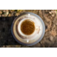 LK Baits Squid Concentrate 250 ml
