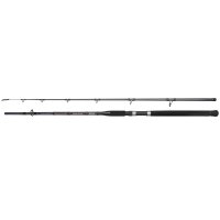 Spro prut Saltix 250  2,4m 100-250g  - 2díly