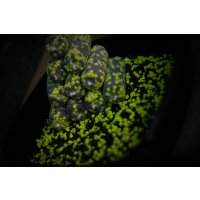 LK Baits Duo X-Tra Pellets Nutric Acid/Pineapple 1kg, 4mm