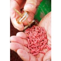 Drennan krmítko Bolt Rig Feeder 2,5oz Large