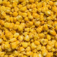 LK Baits IQ Method Feeder Corn 1kg Corn Honey