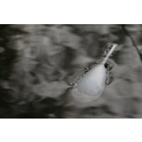 Korda povrchový plovák Surface Float Interceptor 30g