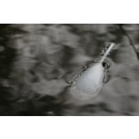 Korda povrchový plovák Surface Float Interceptor 50g