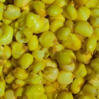 LK Baits IQ Method Feeder Mega Corn - Obří kukuřice 1kg